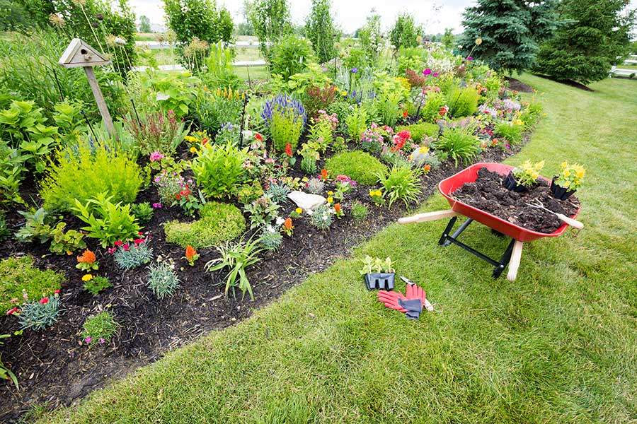 Plants and trees absorb water in the garden and help to prevent surface water flooding